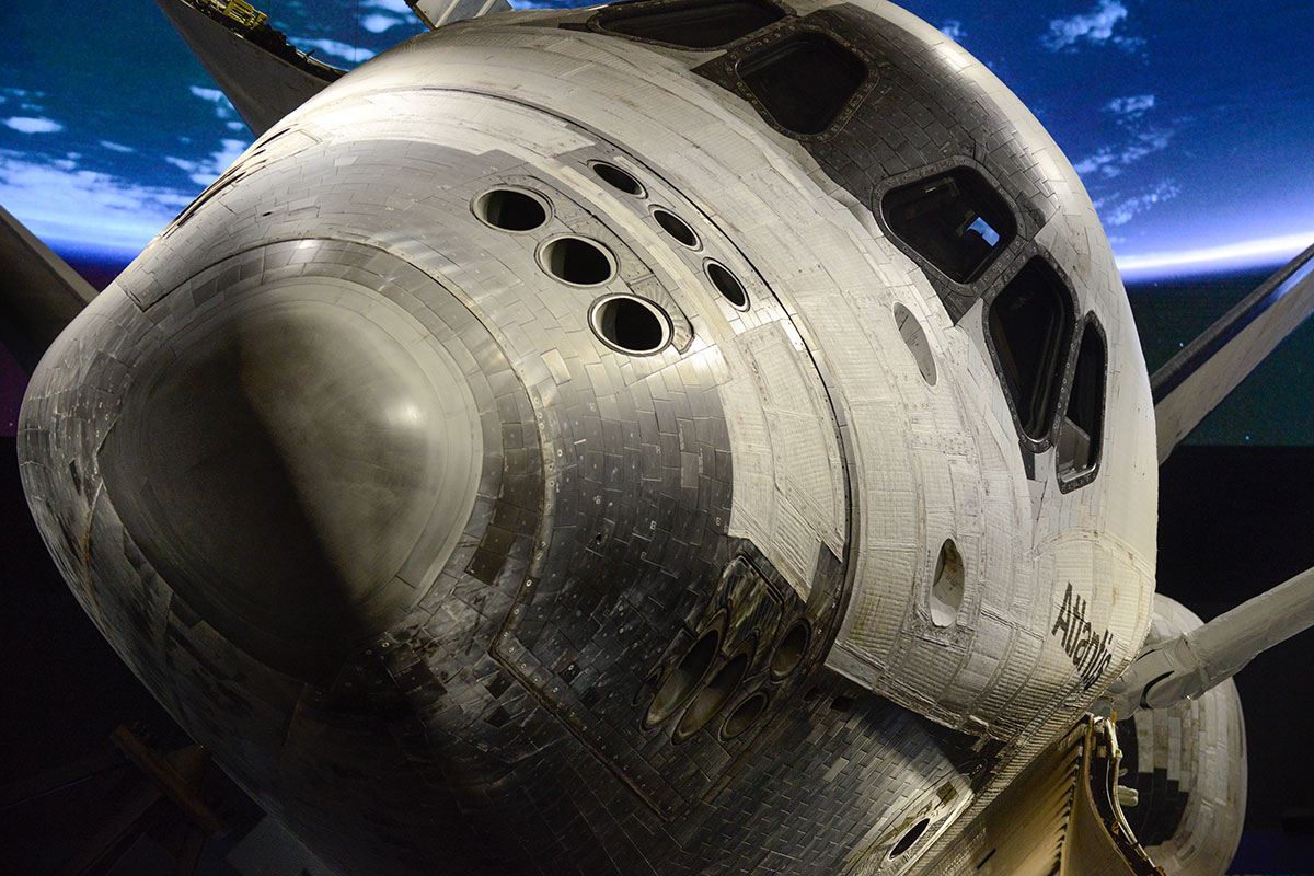 A nose to nose view of Atlantis greet guests at the exhibit.