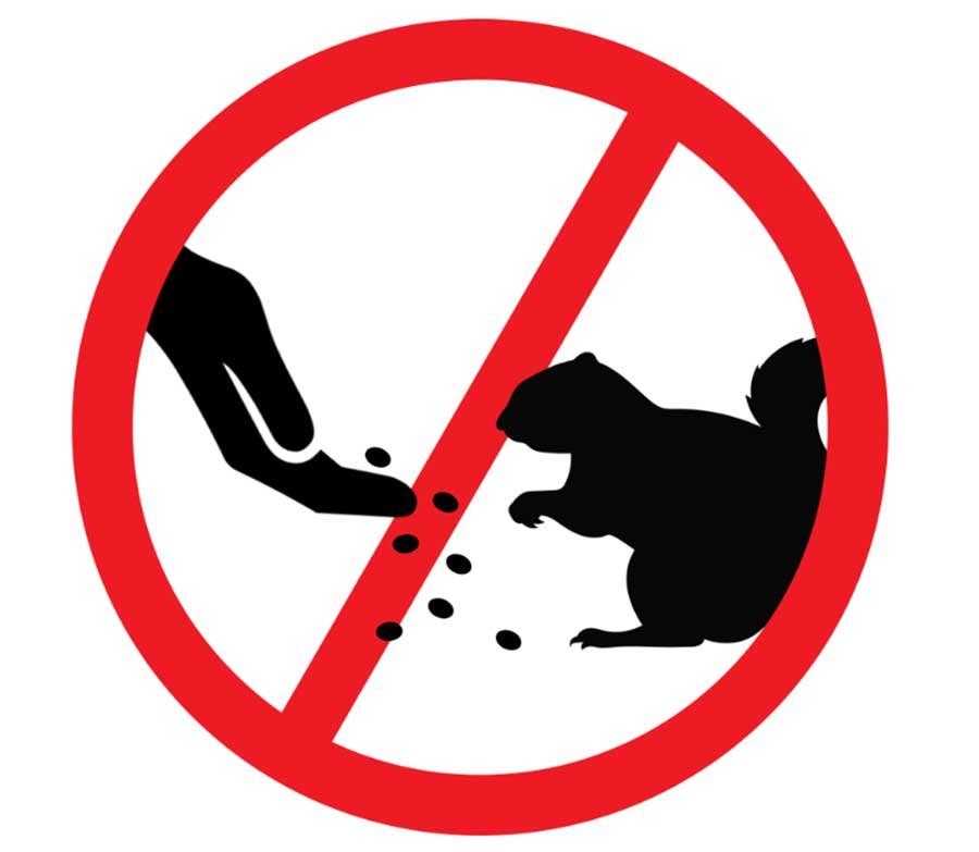 Do not feed the wildlife sign