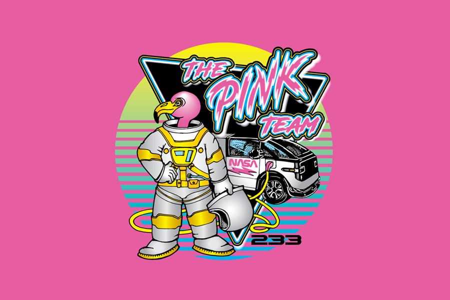 Pink Team 233 Logo