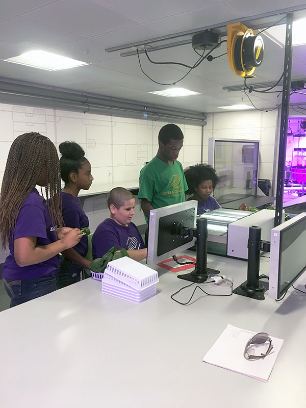 Alunos usando computadores enquanto trabalham no laboratório de botânica