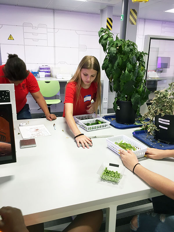 Alunos trabalhando no Laboratório de Botânica