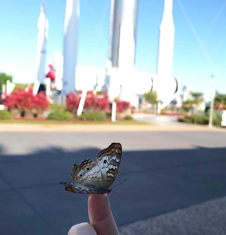 Soltura de borboletas no jardim de borboletas próximo ao Nature and Technology